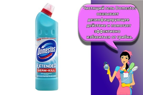 Очищающий гель Domestos обладает дезинфицирующим действием и помогает эффективно избавиться от грибка. 