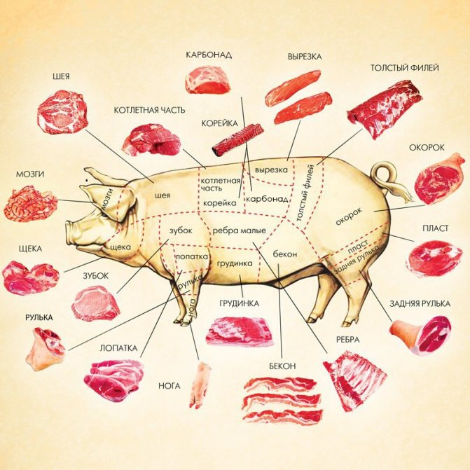 Нежнейшее сало - с задней и боковых сторон тушки